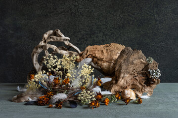 still life, phyto design, composition of dry flowers, branches, wood, bird feathers.