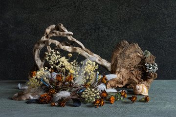 still life, phyto design, composition of dry flowers, branches, wood, bird feathers.