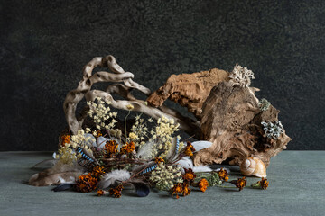 still life, phyto design, composition of dry flowers, branches, wood, bird feathers.