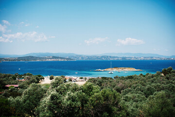 Fototapeta premium Coastal Landscape with Olive Trees and Blue Sea
