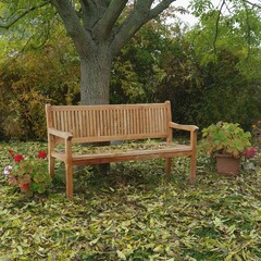 Wooden garden bench under an ash tree in autumn