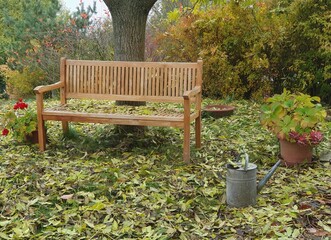 Wooden garden bench under an ash tree in autumn