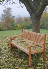 Wooden garden bench under an ash tree in autumn