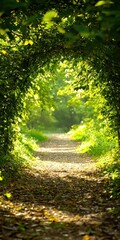 Fototapeta premium Golden hour walk through leaf-covered forest path inviting nature scene warm autumn atmosphere