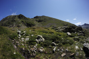 Pyrenees mountains in the summer fisheye