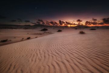 Fuerteventura - Corralejo - Dunes  © Radosław Dybała