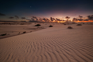 Fuerteventura - Corralejo - Dunes © Radosław Dybała