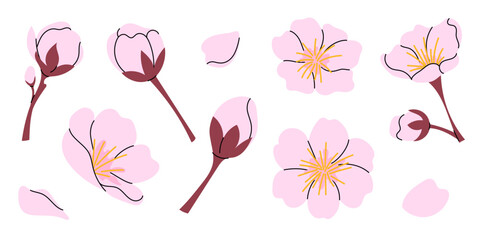 Set botanical elements sakura flowers and twigs. Cherry blossom, hanami. Delicate petals, buds, flowers Japanese tree. Flat illustration on white background.