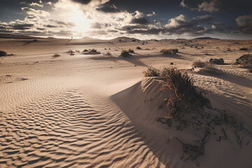 Fuerteventura - Corralejo - Dunes  © Radosław Dybała