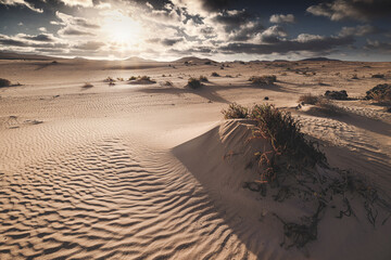 Fuerteventura - Corralejo - Dunes 