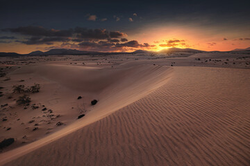 Fuerteventura - Corralejo - Dunes  © Radosław Dybała