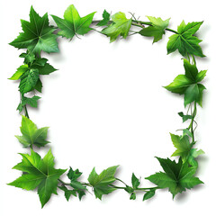 Naklejka premium A vibrant green leafy frame, rich in detail and texture, perfect for showcasing any content. Ideal for environmental themes, nature projects, or decorative purposes.