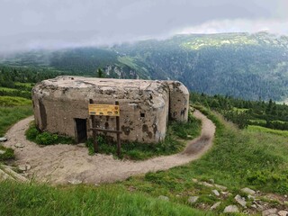 bunker in the forest