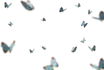 Delicate butterflies flutter freely against a transparent backdrop, showcasing vibrant colors and intricate wing patterns, evoking a sense of wonder and freedom
