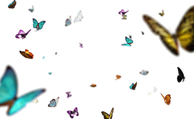 Colorful butterflies in various shapes and sizes are gracefully scattered on a transparent...