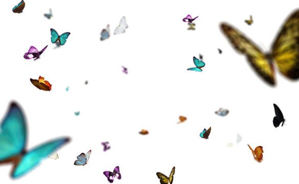 Colorful butterflies in various shapes and sizes are gracefully scattered on a transparent background, creating a whimsical and enchanting atmosphere