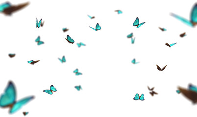 Numerous vibrant butterflies dance in the air, showcasing their delicate wings while creating a...