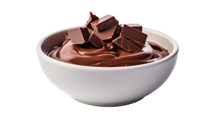 A bowl filled with smooth, creamy chocolate dessert showcases several chunks of dark chocolate arranged on top. This tempting treat captures attention with its rich texture and color