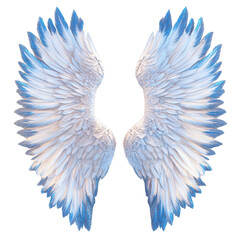 Fototapeta premium Angel wings, white isolate background