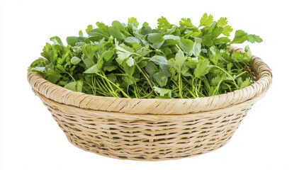 Naklejka premium Fresh green herbs in woven straw basket, perfect for cooking and garnishing