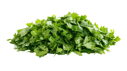 Obraz premium A lush pile of fresh cilantro sits isolated against a white background, showcasing its vibrant green leaves perfect for enhancing dishes with flavor and aroma