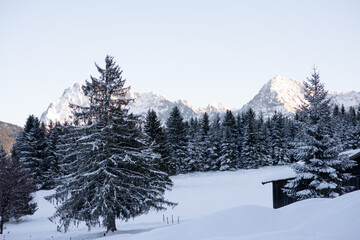 Fototapeta premium village house in the mountains in the alps