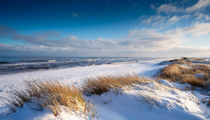landscape of baltic sea coast in iciness withe snow and grass