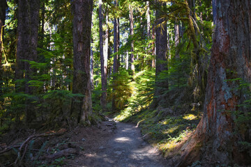 Obraz premium Sol Duc Falls hiking trail Soleduck waterfall view in summer 2024 Olympic National Park, Washington, United States