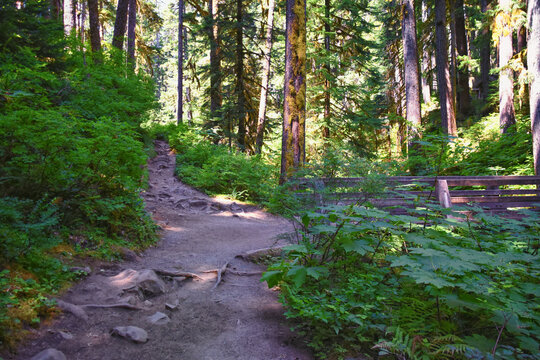 Sol Duc Falls hiking trail Soleduck waterfall view in summer 2024 Olympic National Park, Washington, United States