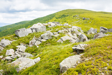 landscape with rocks among the grass on the hillside. scenic view of mount smooth. sunny day. scenery of carpathian mountain range in summer. terrain with sharp sandstone. wonderful altitude for hike