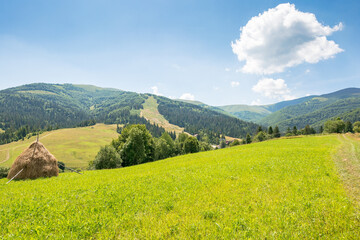 grassy field on the hill. rural scenery. mountainous countryside landscape on a sunny day in summer. podobovets valley in transcarpathia, ukraine. village in the valley. haystack on the slope