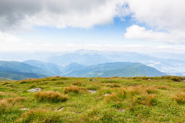 nature landscape with alpine grassy meadow of mnt. petros in dappled light. carpathian mountain scenery of ukraine in summer. popular travel destination of transcarpathia. outdoor adventure