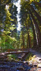 Sol Duc Falls hiking trail Soleduck waterfall view in summer 2024 Olympic National Park, Washington, United States