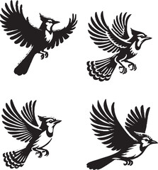 Intricate Black and White Illustrations of Birds in Flight