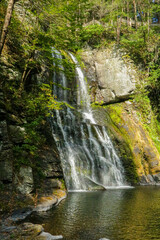 Beautiful waterfall cascading into a serene pool surrounded by lush greenery. Bushkill Falls in Poconos Pennsylvania.