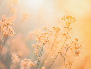 A dreamy field of wildflowers bathed in soft golden sunlight.