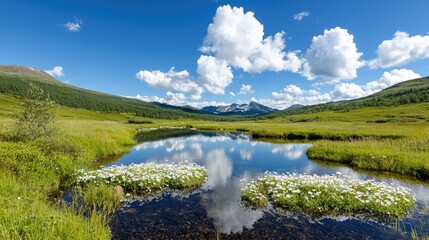 Obraz premium Mountain lake reflection, wildflowers, summer sky