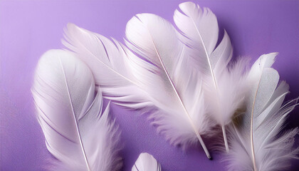 Obraz premium white feathers on pastel purple history