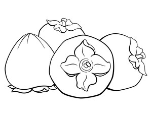 Persimmon, sweet autumn fruits - vector linear picture for coloring. Persimmon fruit for logo, pictogram or coloring book. Outline	