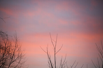 Obraz premium Candy sky after sunset