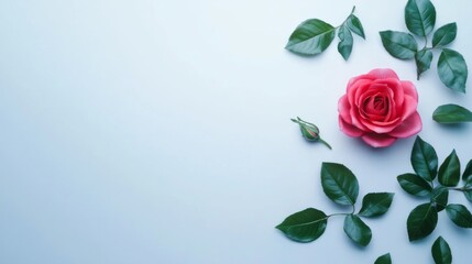 Fototapeta premium Pink Rose with Green Leaves on Light Blue Background: Elegant Floral Flatlay