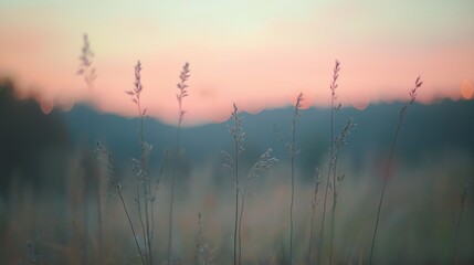 Fototapeta premium Serene Sunset Landscape Hazy Mountains in Soft Pink and Orange Hues