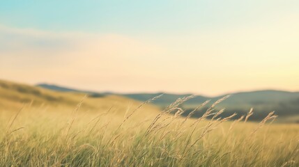 Fototapeta premium Golden Hour Grassland Landscape Serene Sunset Hills
