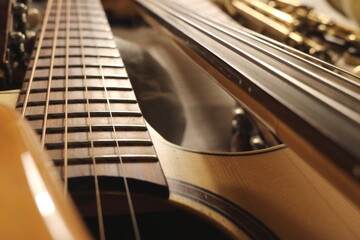 Fretboard Symphony Strings in Focus