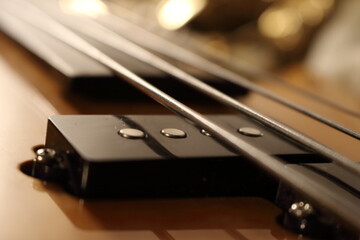 Fretless Groove The Heart of the Bass
