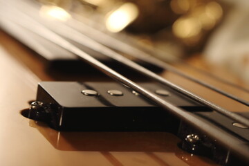Fretless Groove The Heart of the Bass