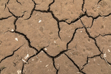 Dry soil background