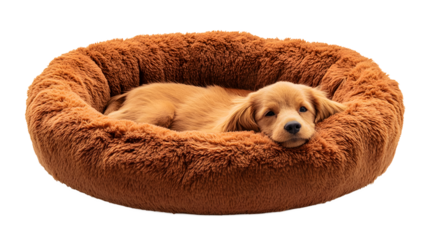 Soft round plush pet bed isolated on white background