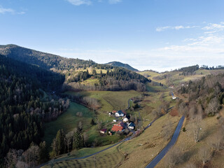 Black Forest in autumn with a view over the trees into the valley, drone photo
