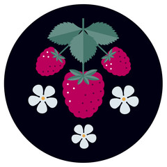 Raspberry flat illustration. Berries, flowers and leaves in black circle background.